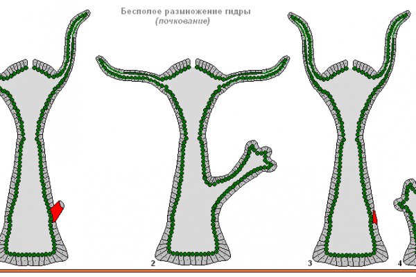 Кракен рабочее зеркало