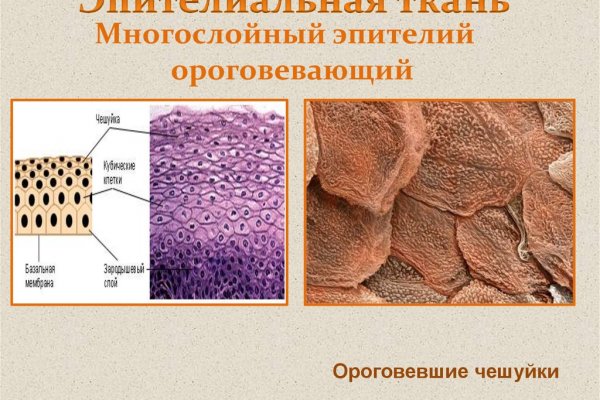 Кракен рабочая ссылка на сайт